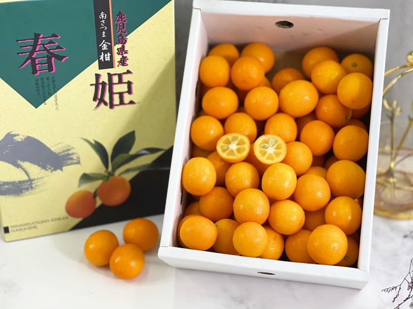 台中愛知縣水果禮盒 》尋找高品質的日本水果禮盒批發？選擇綠之