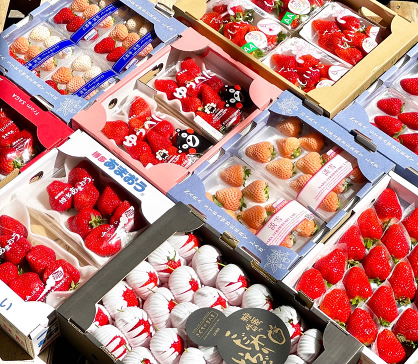 台中日本巨峰提子水果禮盒批發推薦 》綠之果物日本水果禮盒專家