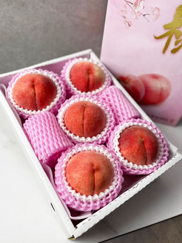 台中日本巨峰提子水果禮盒批發推薦 》綠之果物日本水果禮盒專家