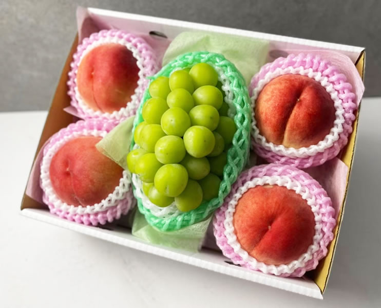 新北日本岡山晴王麝香葡萄水果禮盒批發推薦 》綠之果物：日本水
