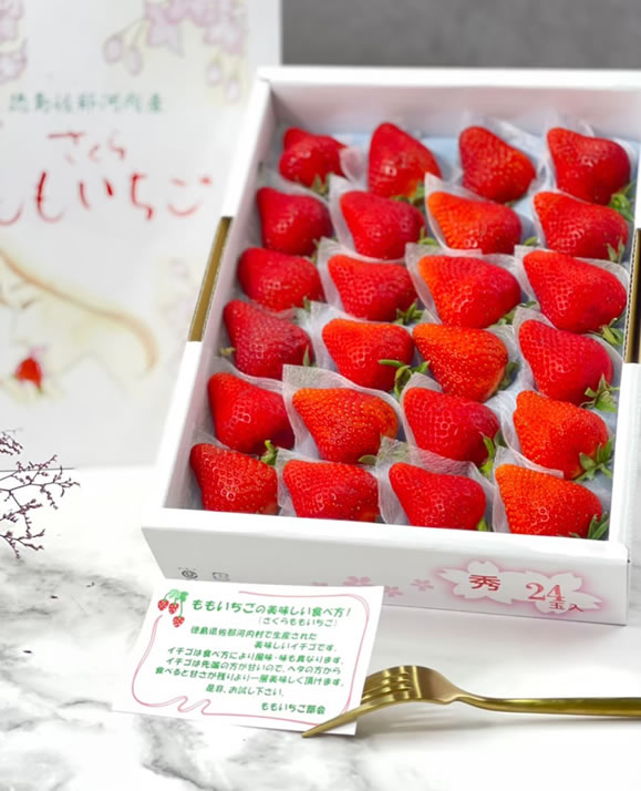 台南日本進口哈密瓜水果禮盒批發推薦 》如何從綠之果物找到您理